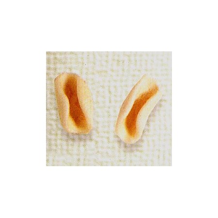 TORTIGLIONI GRANO SENATORE CAPPELLI KG.1